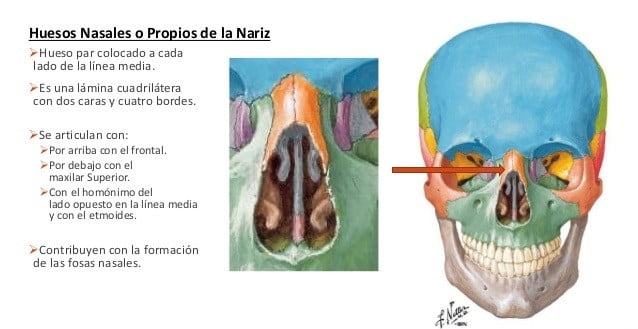 Dr. Juan Monreal