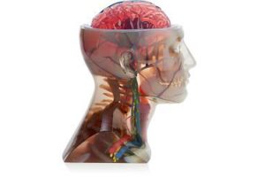 impresos en 3D