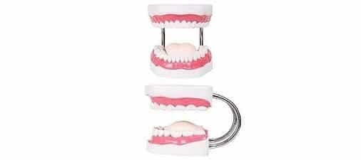 modelos dentales