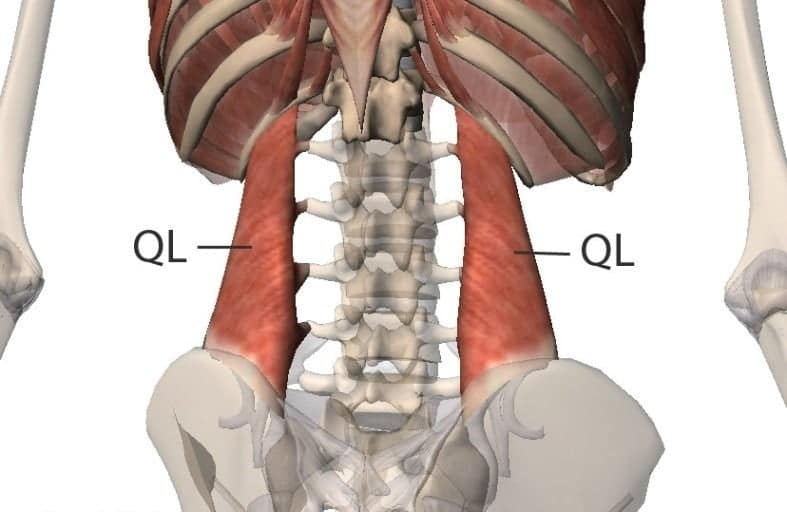 cuadrado lumbar
