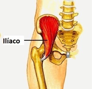Psoas mayor e iliaco