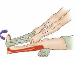 tibial posterior