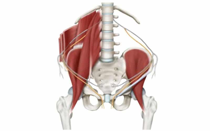 Nervio ilioinguinal