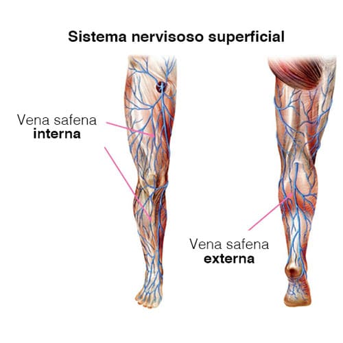 vena safena externa