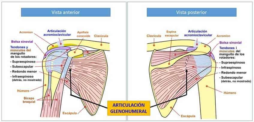 Inflamacion de una articulacion